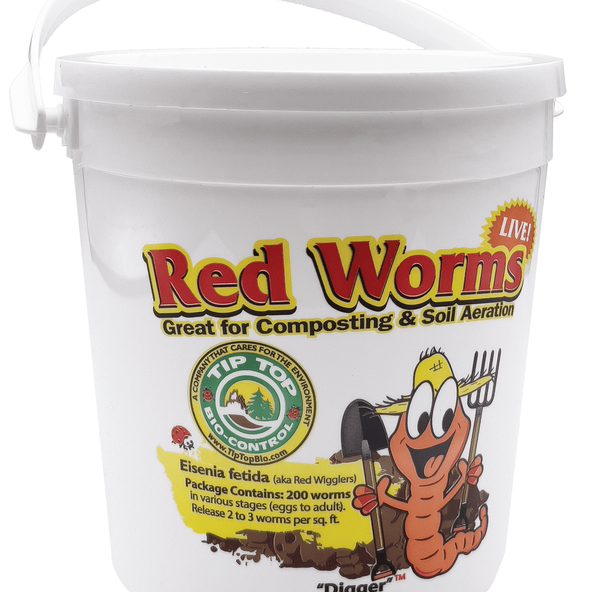 Composting Red Wiggler Worms – Tip Top Bio-Control