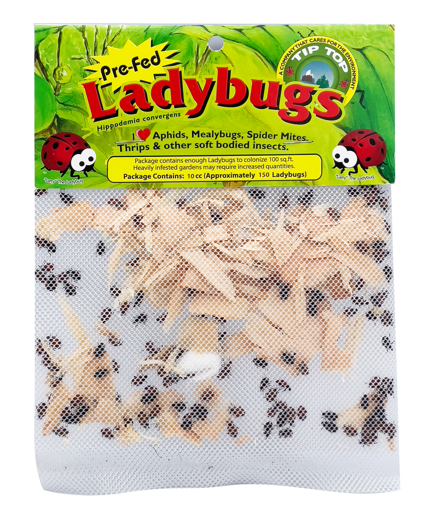 Ladybug Initial F Round Stickers