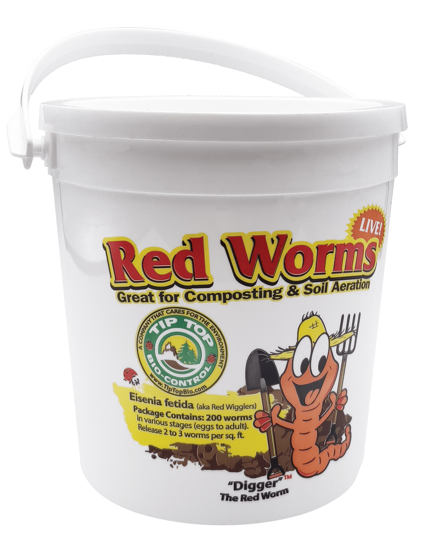 Red Wiggler Worm Composting