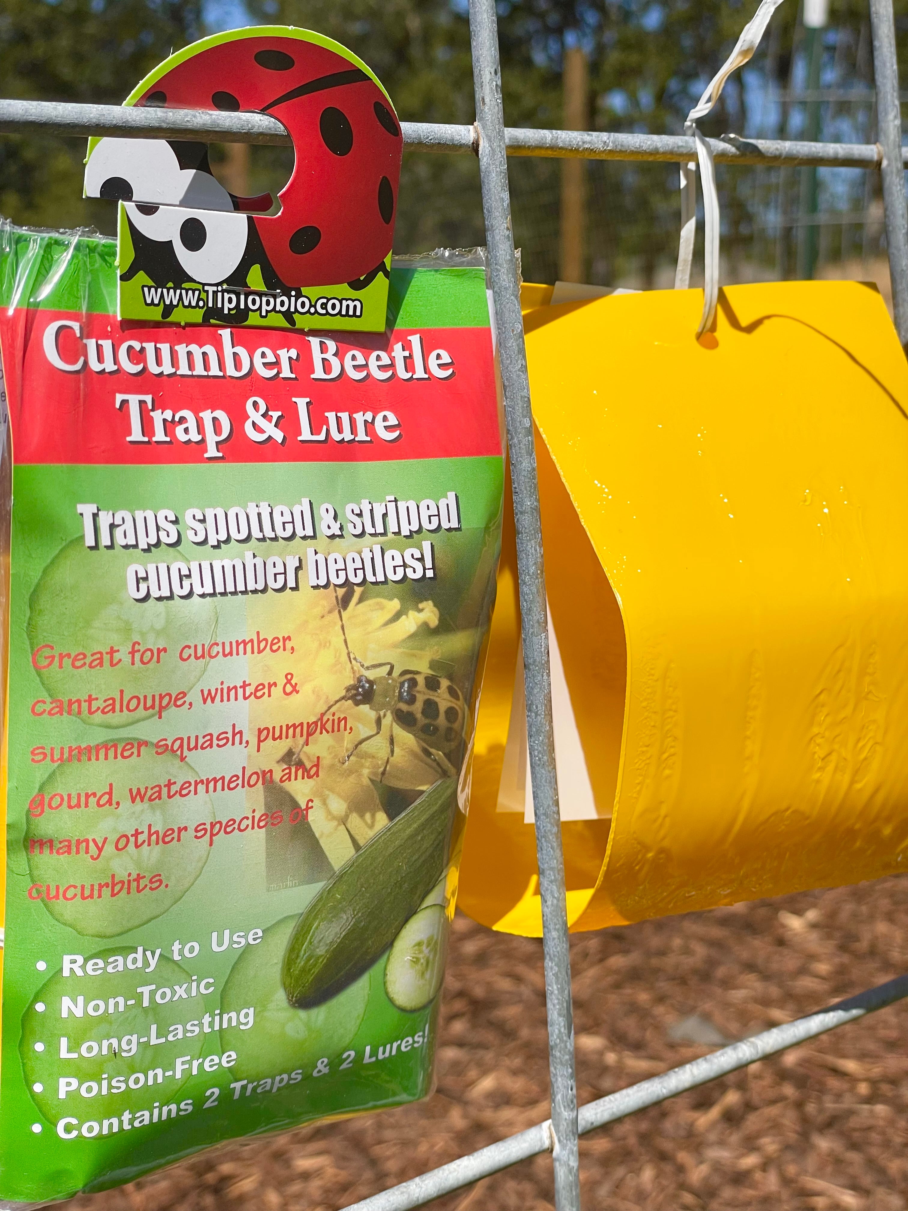 Cucumber Beetle Trap & Lure - 2 Pack