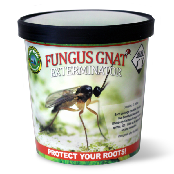 Hannas Seeds & Garden Centre - Fungus gnats causing you grief? “Pot Poppers”  are nematodes that will control fungus gnats and thrips in indoor house  plants. Just pop, drop and water in