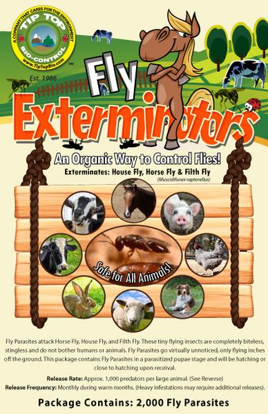 Fly Exterminators - Label