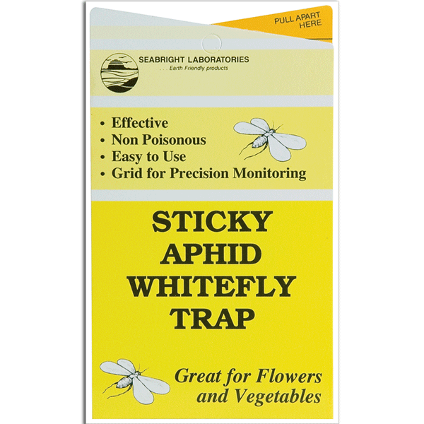 Sticky Traps for Indoor & Greenhouse Insect Monitoring
